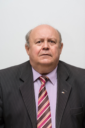 Matei Aronel